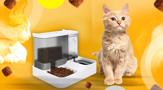 Qpets® 2 in 1 Automatic Food Feeder and Water Dispenser