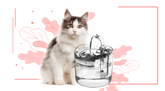 Qpets® Automatic Cycle Multiple Filtering Cat Water Fountain