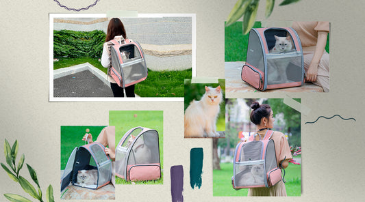 Qpets® Breathable Design Cat Bag Carrier Backpack