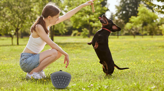 The Silicone Dog Treat Pouch Revolution- Where Style Meets Wag