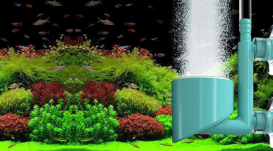 Enhancing Aquarium Aesthetics with the Right Aquarium Air Stone