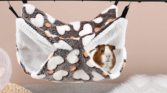 Hammock Bed for Small Pets:Where Coziness Meets Adventure