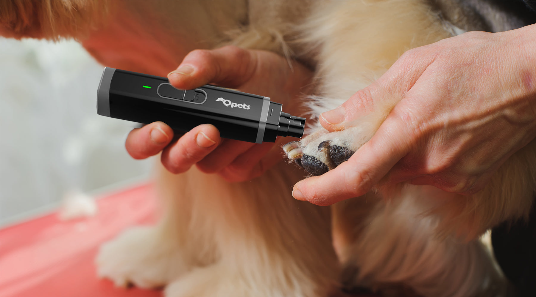Mastering Pet Grooming with Professional Electric Dog Nail Grinders Qpets