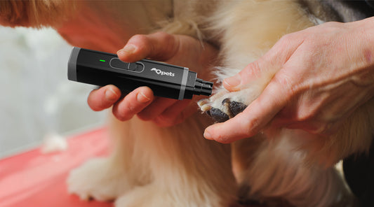 Mastering Pet Grooming with Professional Electric Dog Nail Grinders