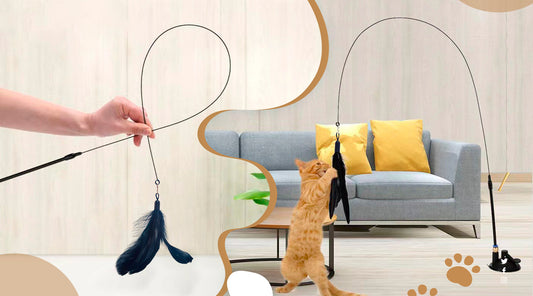 Cat Teaser Toys with Bells: Where Fun and Feline Frolic Meet