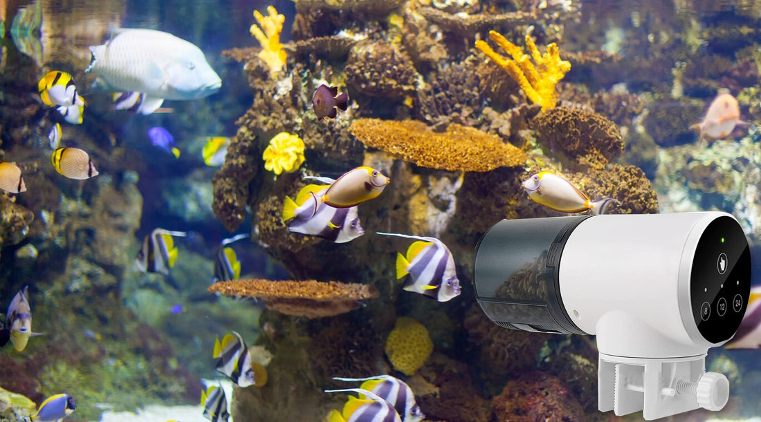 Transform Your Aquarium Experience with 3Way Automatic Fish Feeder Qpets