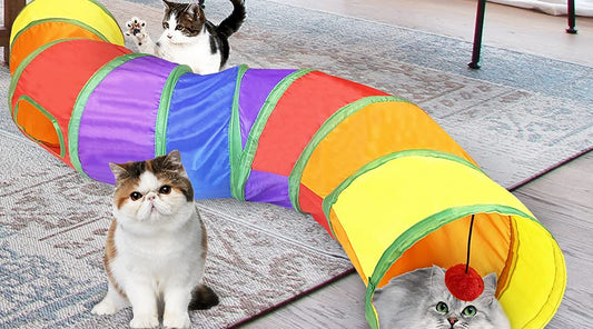 Cat Tunnels Toy: A Gateway to Feline Fun