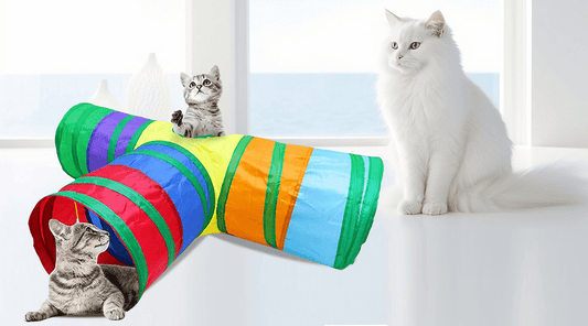 Unleash Fun with 3 Way Rainbow Tunnel Cat Toy
