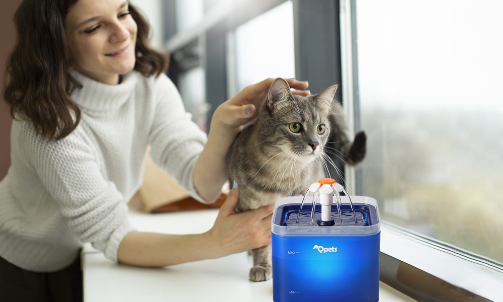 Illuminate Hydration with Cat Water Fountain with an LED Light
