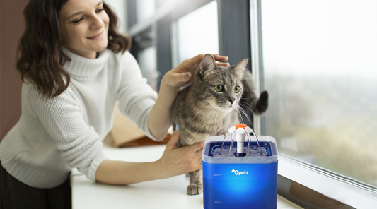 Illuminate Hydration with Cat Water Fountain with an LED Light