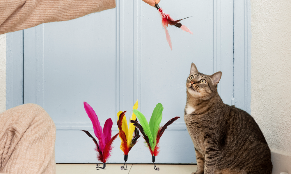 Unleashing Joy With Interactive 11-Piece Cat Toy Set