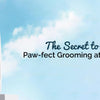 The Secret to Paw-fect Grooming at Home!