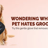 “Wondering Why Your Pet Hates Grooming? Try This Gentle Glove That Removes Loose Fur Fast”