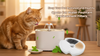 Keep Your Pet Hydrated and Healthy: Qpets Cat Water Fountain Replacement Filters