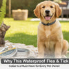 Why This Waterproof Flea & Tick Collar Is a Must-Have for Every Pet Owner