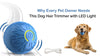 Keep Your Small Dog Happy and Active with This Light-Up Chew Toy