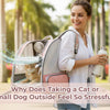 Why Does Taking a Cat or Small Dog Outside Feel So Stressful?