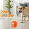 Small Dog Toy with Light: Bounce, Chew & Play Indoors or Outdoors