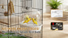 No More Messy Cages! Meet the Anti-Splash Bird Bath Your Pet Will Love