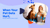 When Your Pet Gets Hurt, Comfort Matters as Much as Care