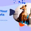 When Your Pet Gets Hurt, Comfort Matters as Much as Care