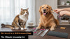 The Secret to a Well-Groomed Dog: The Ultimate Grooming Set