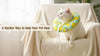 A Gentler Way to Help Your Pet Heal