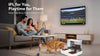 IPL for You, Playtime for Them: Keep Pets Busy During Match Hours