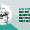 Why Replacing Your Cat Water Fountain Filter Matters More Than You Think