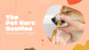 The Pet Care Routine That Most Owners Forgets