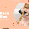 The Pet Care Routine That Most Owners Forgets
