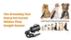 The Grooming Tool Every Pet Parent Wishes They Bought Sooner