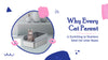 Why Every Cat Parent is Switching to Stainless Steel Cat Litter Boxes