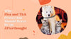 Why Flea and Tick Protection Should Never Be an Afterthought