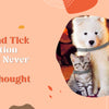 Why Flea and Tick Protection Should Never Be an Afterthought