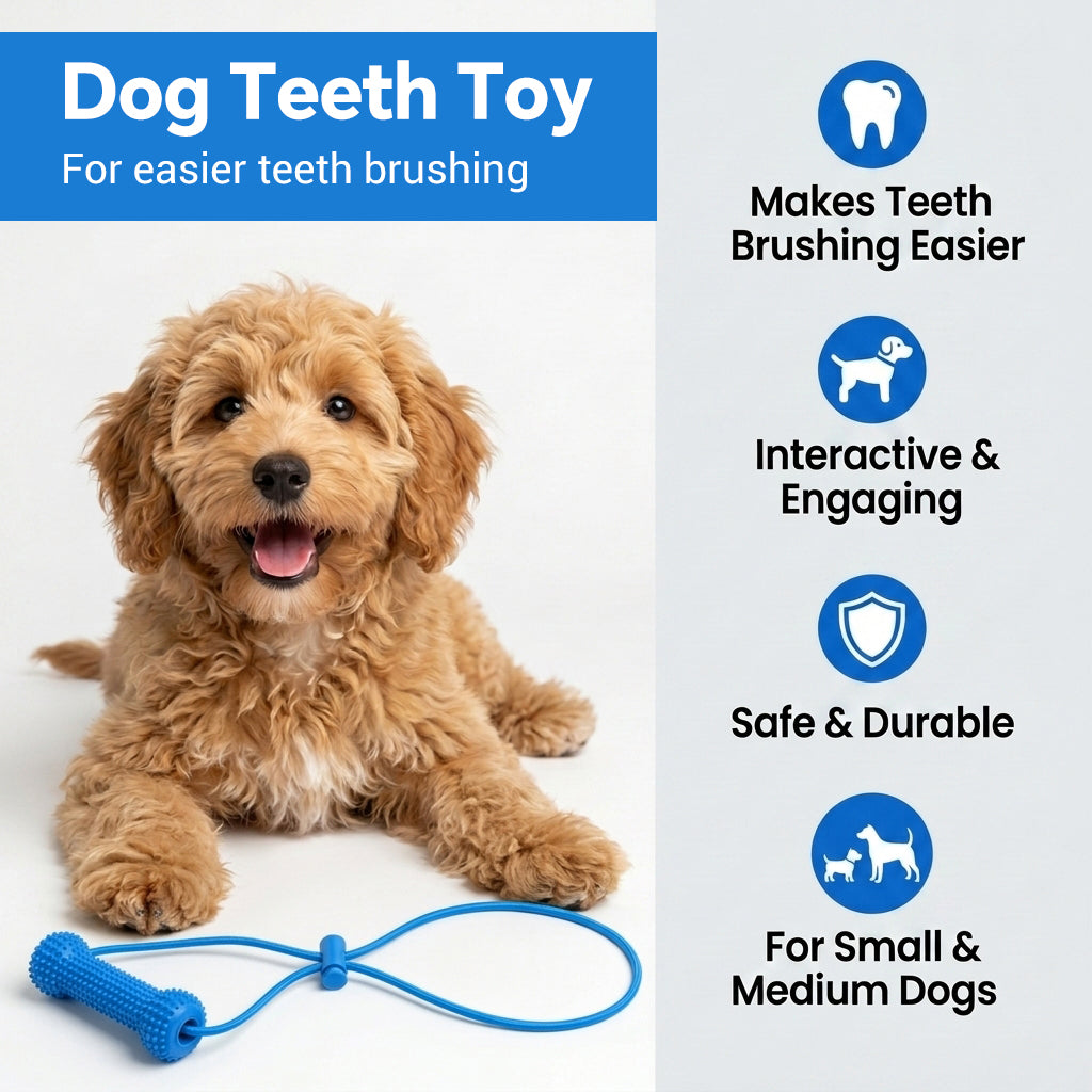 Qpets Dog Dental Chew Prop for Small and Medium Dogs, TPR Aid for Guided Brushing