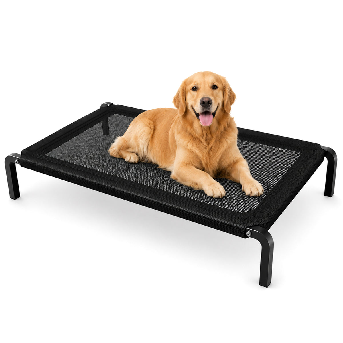 Qpets Elevated Dog Bed for Large Dogs and Cats, Breathable Mesh