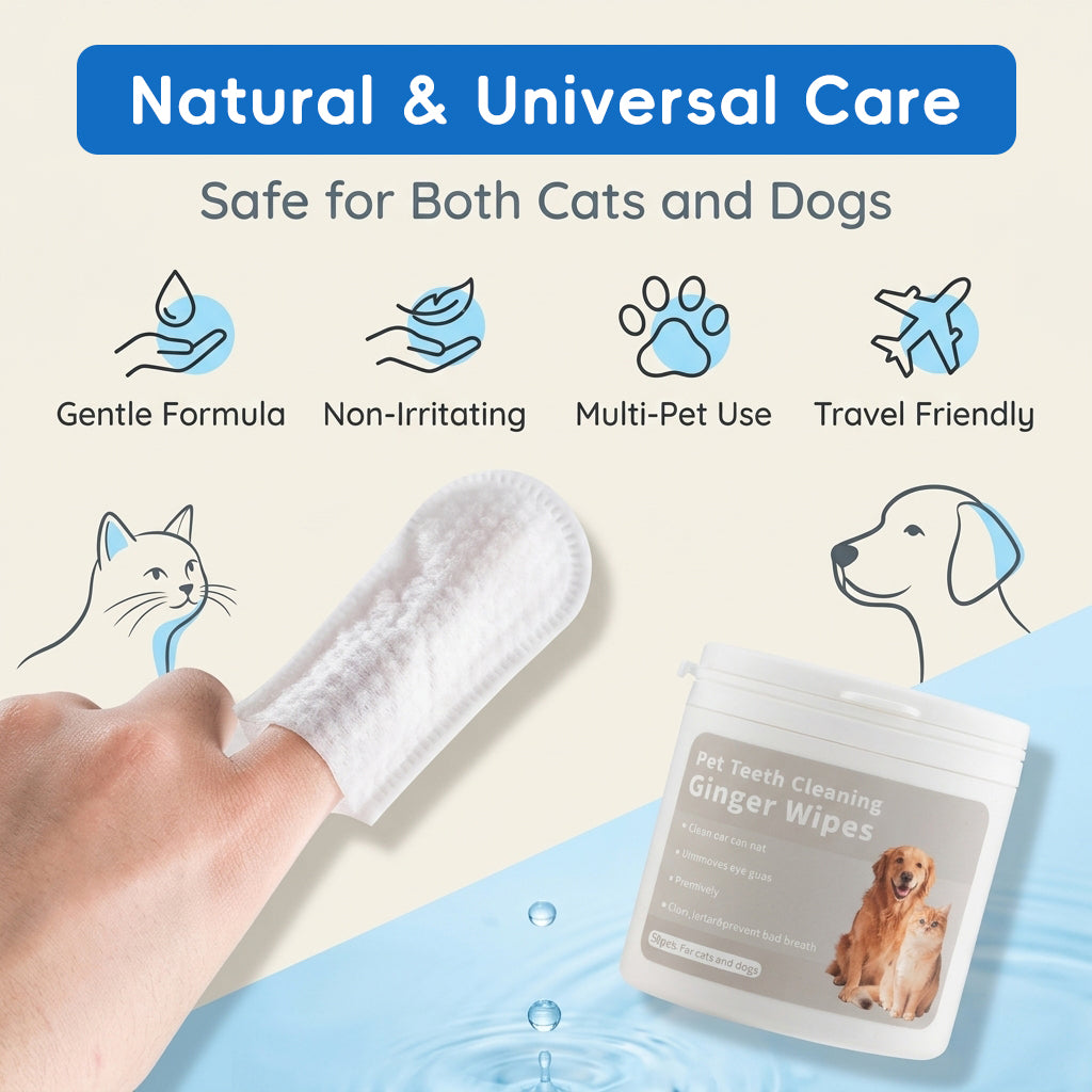 Qpets 3-in-1 Natural Cotton Pet Finger Wipes for Dogs and Cats, Teeth, Ears and Eyes, 50 Count