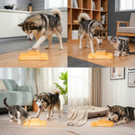 Qpets Interactive Dog and Cat Treat Dispenser Puzzle Feeder for Slow Eating and Enrichment Play