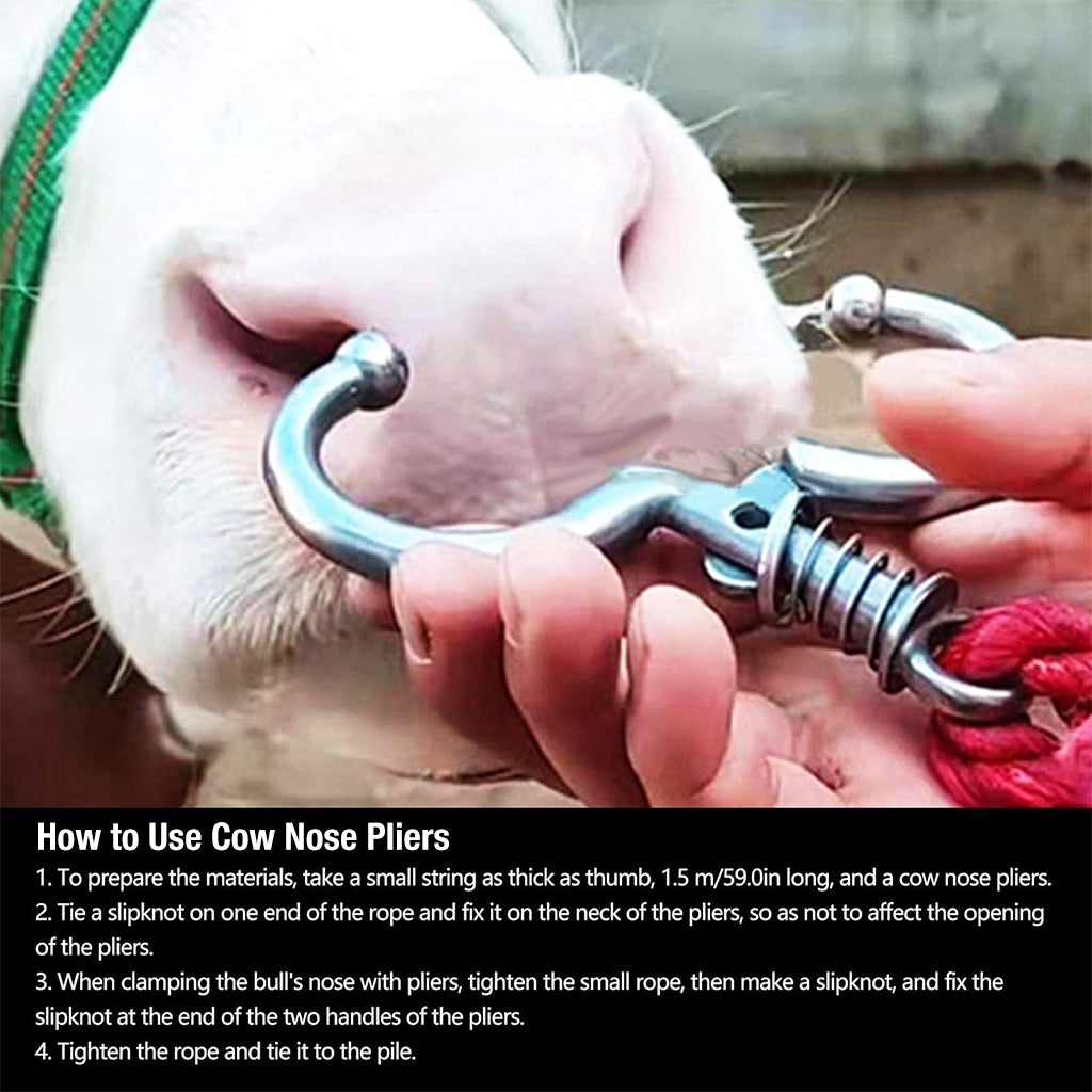 Qpets® Cattle Nose Ring No-piercing Bull Nose Ring Clip-on Cattle Nose Ring Stainless Steel Detachable Cattle Cows Nose Ring