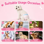 Qpets 10 Pack Single-Use Female Dog Diapers, XL, with Absorbent and Breathable Design
