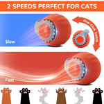 Qpets® Electric Cat Ball Toy Cat Teaser with 2 Speed Fun Speedy Chasing Teasing Tail Bell Charm Self Entertainment USB Rechargeable 3 PCS