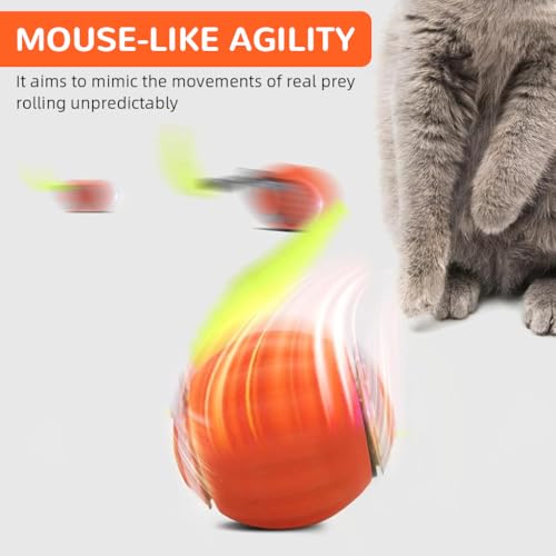 Qpets® Electric Cat Ball Toy Cat Teaser with 2 Speed Fun Speedy Chasing Teasing Tail Bell Charm Self Entertainment USB Rechargeable 3 PCS