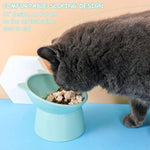 Qpets® Elevated Cat Bowl, Ergonomic Tilted Design, Anti-Slip, Durable PP Material, Easy Clean Feeding Bowl with Spoon, Prevents Whisker Fatigue & Vomiting, Ideal for Cats & Kittens