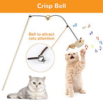 Qpets® Premium Cat Toy Interactive Toys Set of 5 Teaser Wand Pet Activity Fishing Rod with Mouse Natural Feathers for Kittens to Play Games 2PCS