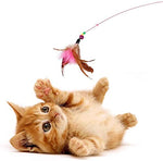 Qpets Cat Toys Set for Indoor Cats featuring Feather Wand and 20 Pcs Balls & Mice | Red