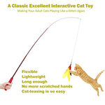Qpets® Cat Teaser Toy Feather for 22PCS Set with 2 Retractable Wand 5 Worm Interactive Toys Kitten Play Chase Activity Exercise