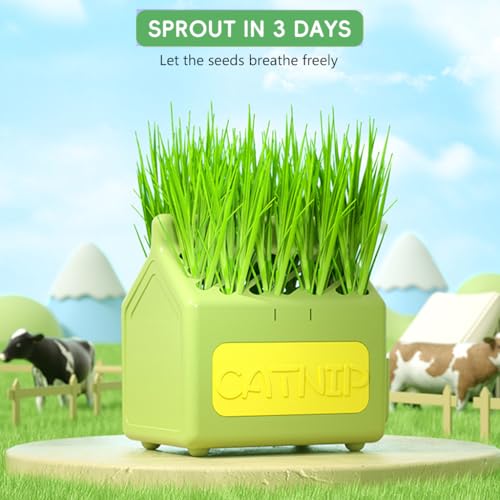 Qpets® Cat Grass Planting Box Catnip Growing House Cartoon Pot Plastic Home Décor Element Not Contain Grass 12x9x12CM 2PCS