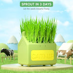 Qpets® Cat Grass Planting Box Catnip Growing House Cartoon Pot Plastic Home Décor Element Not Contain Grass 12x9x12CM 2PCS