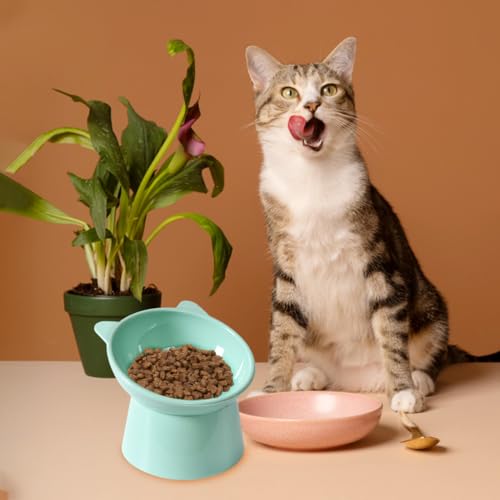Qpets® Cat Feeding Bowl, 11.5cm Elevated Cat Bowl Feeder, Raised Anti Vomiting 45°Slanted Bowl Pet Food Dish Healthy with Anti-Tip Design for Kittens (2Pcs, Green)